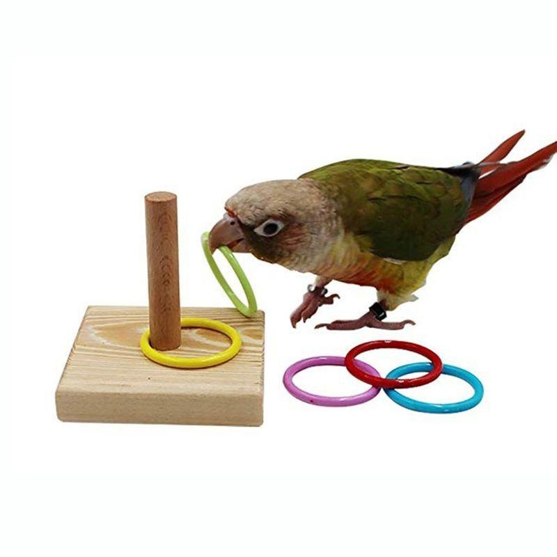 Bird Training Ring Toy Parrot  - Gymnastic Ring Wood review and price