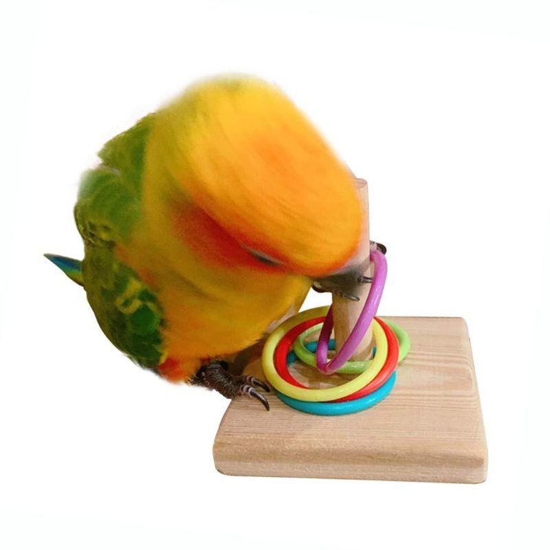 Bird Training Ring Toy Parrot  - Gymnastic Ring Wood review and price